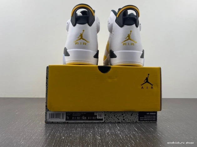 6 Jordan Yellow Ochre Air CT8529-170 0805